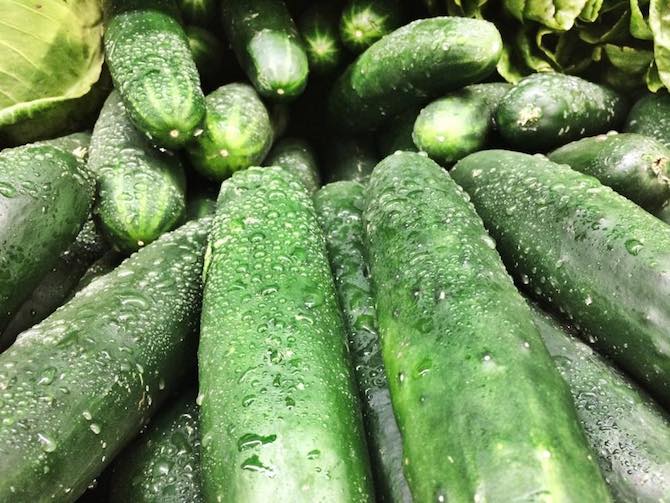 10 Things You Should Know About Cucumbers